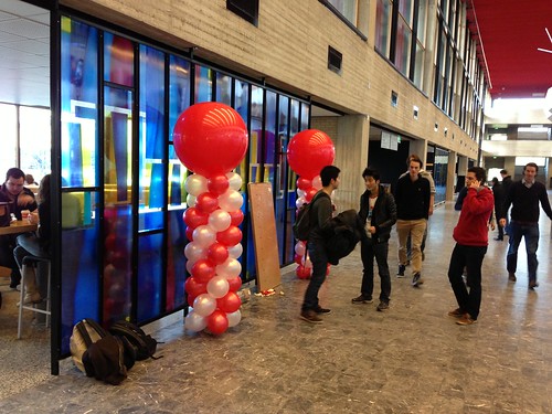  Ballonpilaar Breed Rond <a href='http://www.rotterdamsballonnenbedrijf.nl/plaatsen/erasmus-universiteit' class='w3-text-indigo'>Erasmus Universiteit</a> Rotterdam