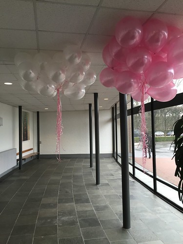  Heliumballonnen Roze En Wit Zuider Begraafplaats Rotterdam