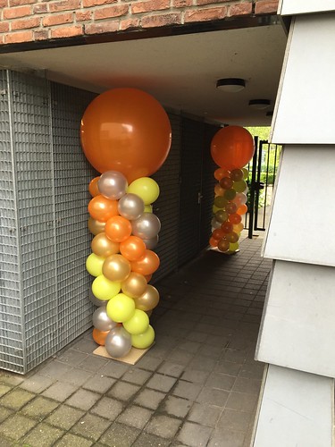  Ballonpilaar Breed Rond Parnassia Rotterdam