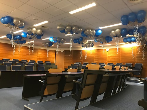  Heliumballonnen <a href='http://www.rotterdamsballonnenbedrijf.nl/plaatsen/erasmus-universiteit' class='w3-text-indigo'>Erasmus Universiteit</a> Rotterdam