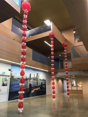  Ballonpilaar Rond Geslaagd Ebo <a href='http://www.rotterdamsballonnenbedrijf.nl/plaatsen/de-passie' class='w3-text-indigo'>De Passie</a> Rotterdam