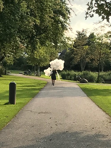  Heliumballonnen Brasserie Vroesenpark Rotterdam Blijdorp