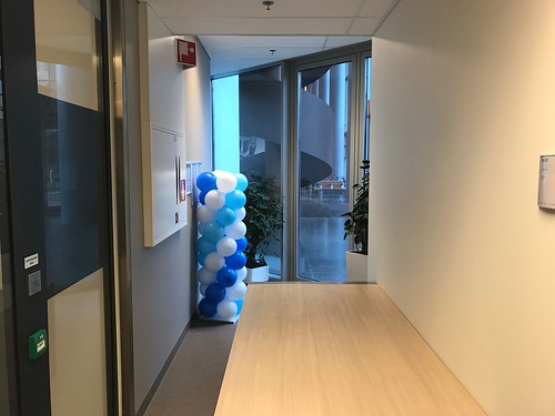  Ballonpilaar Breed Dijkzigt Ziekenhuis Rotterdam