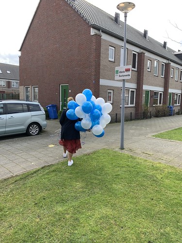  Heliumballonnen Hillegersberg Schiebroek Rotterdam