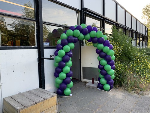  Ballonboog 5m Opening <a href='http://www.rotterdamsballonnenbedrijf.nl/plaatsen/olympia-college' class='w3-text-indigo'>Olympia College</a> Rotterdam