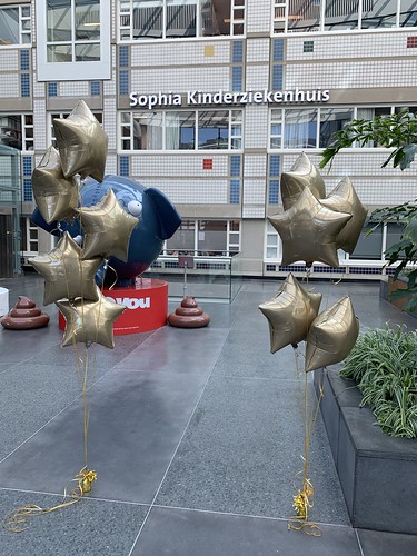  Ballonboeket Folieballonnen Ster <a href='http://www.rotterdamsballonnenbedrijf.nl/plaatsen/sophia-kinderziekenhuis' class='w3-text-indigo'>Sophia Kinderziekenhuis</a> Rotterdam