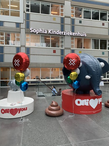  Ballonboeket Bedrukte Folieballon Rond <a href='http://www.rotterdamsballonnenbedrijf.nl/plaatsen/sophia-kinderziekenhuis' class='w3-text-indigo'>Sophia Kinderziekenhuis</a> Rotterdam