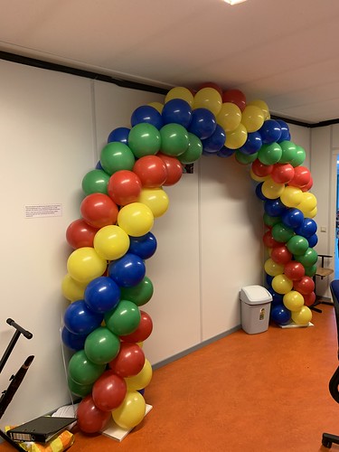  Ballonboog 6m Diplomering <a href='http://www.rotterdamsballonnenbedrijf.nl/plaatsen/mytylschool-de-brug' class='w3-text-indigo'>Mytylschool De Brug</a> Vso Rotterdam