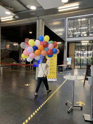  Heliumballonnen Hoge School Locatie <a href='http://www.rotterdamsballonnenbedrijf.nl/plaatsen/wijnhaven' class='w3-text-indigo'>Wijnhaven</a> Rotterdam