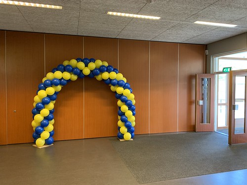  Ballonboog 6m <a href='http://www.rotterdamsballonnenbedrijf.nl/plaatsen/montessori-lyceum' class='w3-text-indigo'>Montessori Lyceum</a> Rotterdam