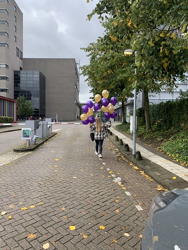  Heliumballonnen <a href='http://www.rotterdamsballonnenbedrijf.nl/plaatsen/erasmus-universiteit' class='w3-text-indigo'>Erasmus Universiteit</a> Rotterdam