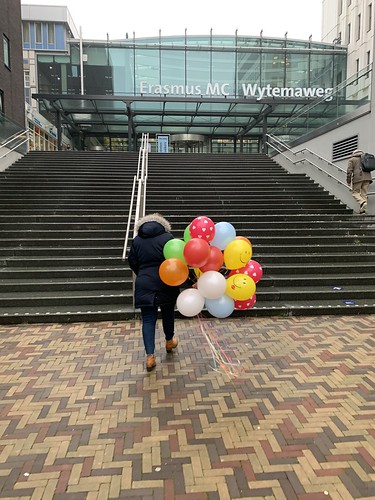  Heliumballonnen <a href='http://www.rotterdamsballonnenbedrijf.nl/plaatsen/sophia-kinderziekenhuis' class='w3-text-indigo'>Sophia Kinderziekenhuis</a> <a href='http://www.rotterdamsballonnenbedrijf.nl/plaatsen/erasmus-mc' class='w3-text-indigo'>Erasmus MC</a> Rotterdam