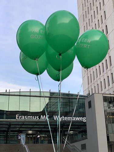  Heliumballonnen <a href='http://www.rotterdamsballonnenbedrijf.nl/plaatsen/sophia-kinderziekenhuis' class='w3-text-indigo'>Sophia Kinderziekenhuis</a> Rotterdam Rotterdamse Ballonnen