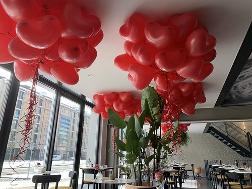  Heliumballonnen Hartballonnen Valentijnsdag <a href='http://www.rotterdamsballonnenbedrijf.nl/plaatsen/trattoria-sophia' class='w3-text-indigo'>Trattoria Sophia</a> Rotterdam