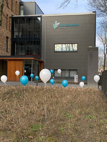  Heliumballonnen <a href='http://www.rotterdamsballonnenbedrijf.nl/plaatsen/hoornbeeck-college' class='w3-text-indigo'>Hoornbeeck College</a> Rotterdam