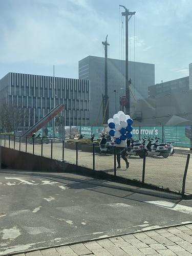  Heliumballonnen <a href='http://www.rotterdamsballonnenbedrijf.nl/plaatsen/erasmus-universiteit' class='w3-text-indigo'>Erasmus Universiteit</a> Rotterdam