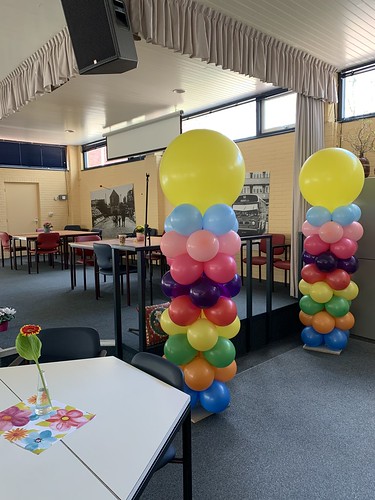  Ballonpilaar Breed Rond De Kulk Hoogvliet Rotterdam