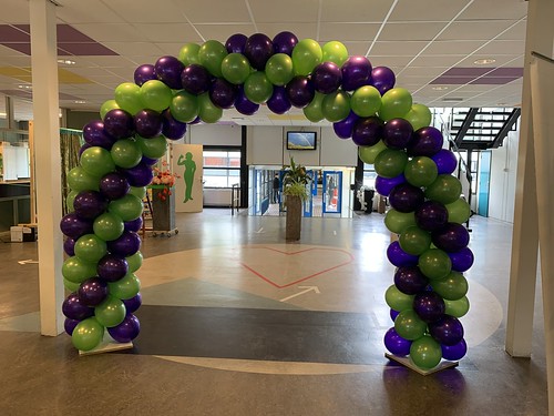  Ballonboog 6m <a href='http://www.rotterdamsballonnenbedrijf.nl/plaatsen/olympia-college' class='w3-text-indigo'>Olympia College</a> Rotterdam