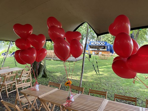  Tafeldecoratie 6ballonnen Hartballonnen Terras In Het Gras Lommerijk Rotterdam