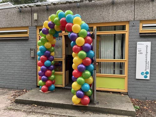  Ballonboog 6m Kinderdam Hoogvliet Rotterdam