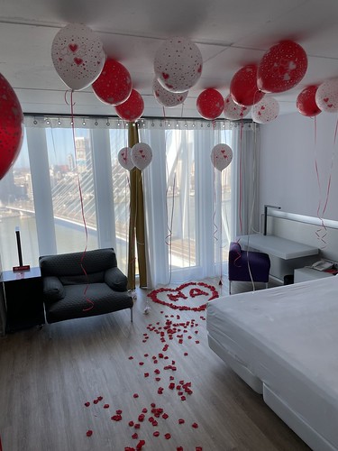  Heliumballonnen Huwelijksaanzoek Premium Room With Skyline View <a href='http://www.rotterdamsballonnenbedrijf.nl/plaatsen/nhow' class='w3-text-indigo'>NHOW</a> Hotel Rotterdam