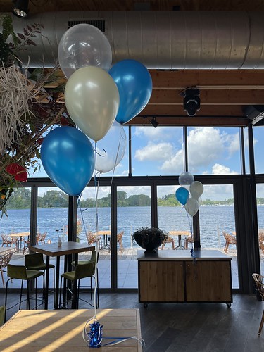  Tafeldecoratie 5ballonnen De <a href='http://www.rotterdamsballonnenbedrijf.nl/plaatsen/tuin-van-de-vier-windstreken' class='w3-text-indigo'>Tuin Van De Vier Windstreken</a> Rotterdam