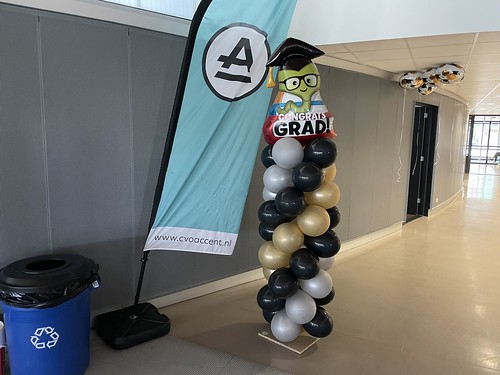  Ballonpilaar Diplomering Geslaagd <a href='http://www.rotterdamsballonnenbedrijf.nl/plaatsen/accent-praktijkonderwijs' class='w3-text-indigo'>Accent Praktijkonderwijs</a> Rotterdam