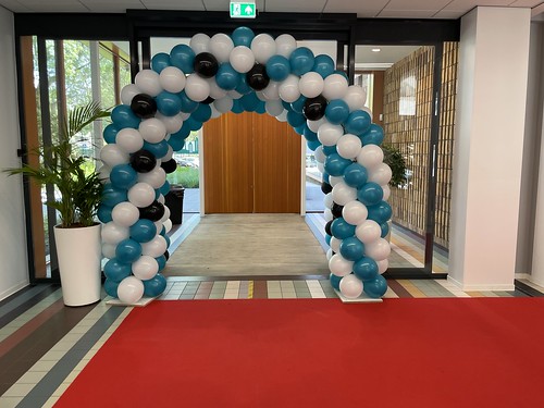  Ballonboog 6m Diplomering Geslaagd <a href='http://www.rotterdamsballonnenbedrijf.nl/plaatsen/hoornbeeck-college' class='w3-text-indigo'>Hoornbeeck College</a> Rotterdam