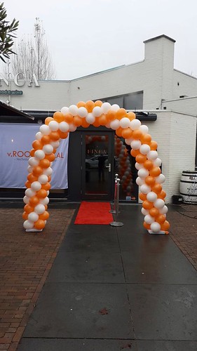  Ballonboog 6m Bedrijfsfeest Van Roosendaal Technisch Uitzendbureau <a href='http://www.rotterdamsballonnenbedrijf.nl/plaatsen/finca' class='w3-text-indigo'>Finca</a> Rotterdam