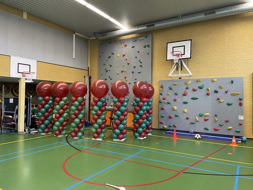  Ballonpilaar Breed Rond Back To School Openbare Montessori Basisschool De Mare Rotterdam