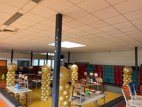  Ballonpilaar Breed Rond Back To School Roncalli Mavo Rotterdam