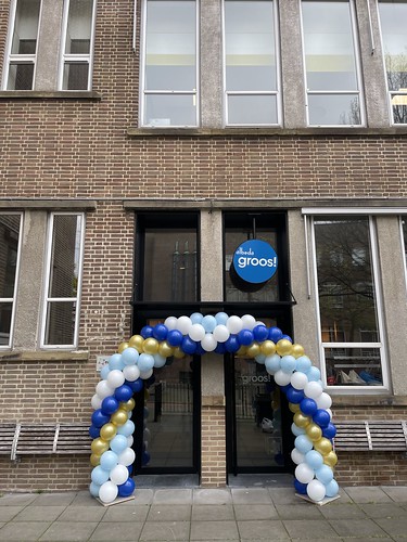  Ballonboog 6m <a href='http://www.rotterdamsballonnenbedrijf.nl/plaatsen/albeda-college' class='w3-text-indigo'>Albeda College</a> Groos Rotterdam