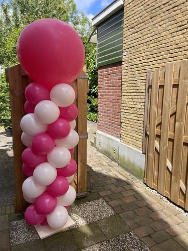  Ballonpilaar Breed Rond Hillegersberg Rotterdam