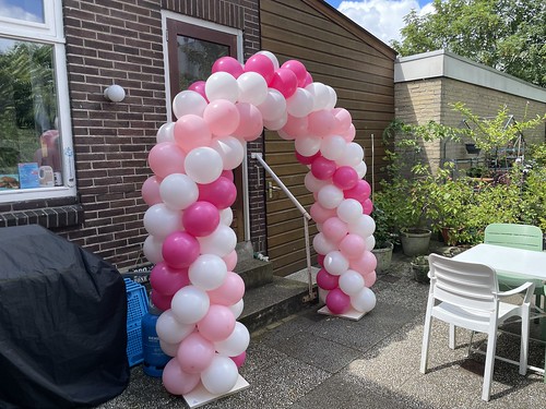  Ballonboog 5m Hillegersberg Rotterdam