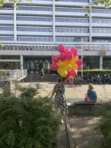  Heliumballonnen <a href='http://www.rotterdamsballonnenbedrijf.nl/plaatsen/zadkine-college' class='w3-text-indigo'>Zadkine College</a> Benthemplein Rotterdam