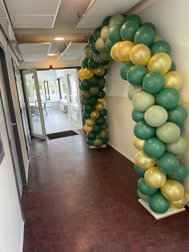  Ballonboog 6m Auris College Rotterdam