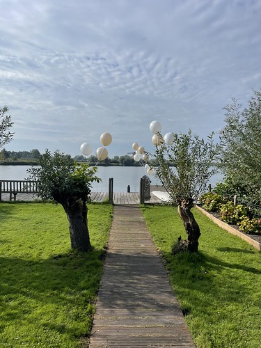  Heliumballonnen Bergse Voorplas Rotterdam