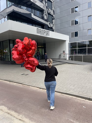  Heliumballonnen Hartballonnen Folieballonnen <a href='http://www.rotterdamsballonnenbedrijf.nl/plaatsen/mainport' class='w3-text-indigo'>Mainport</a> Hotel Rotterdam