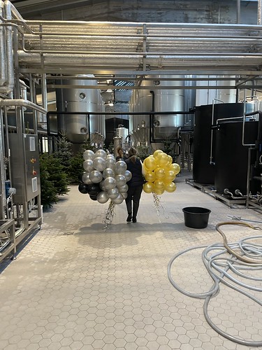  Heliumballonnen <a href='http://www.rotterdamsballonnenbedrijf.nl/plaatsen/stadshaven-brouwerij' class='w3-text-indigo'>Stadshaven Brouwerij</a> Rotterdam