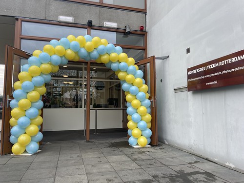  Ballonboog 6m <a href='http://www.rotterdamsballonnenbedrijf.nl/plaatsen/montessori-lyceum' class='w3-text-indigo'>Montessori Lyceum</a> Rotterdam