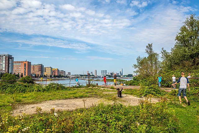 Eiland van Brienenoord Rotterdam